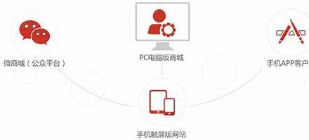 台州企业网站建设运营直播_台州企业网站建设运营情况(2025年01月看点)