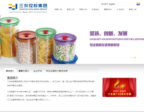 台州网站建设|台州网站制作|高端网站设计【台州盈世网络】