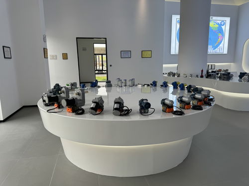 万千气象看四川 甜美内江行丨企业 回家 拓展 升级 前景