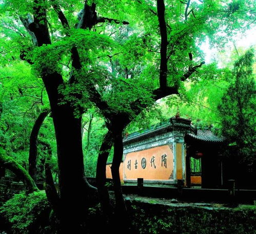 十九大来了,建设美丽台州,历数台州旅游新变化