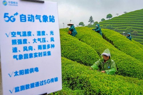 助力共同富裕 中国移动在世界互联网大会上发布五项创新方案，赋能台州数字化建设